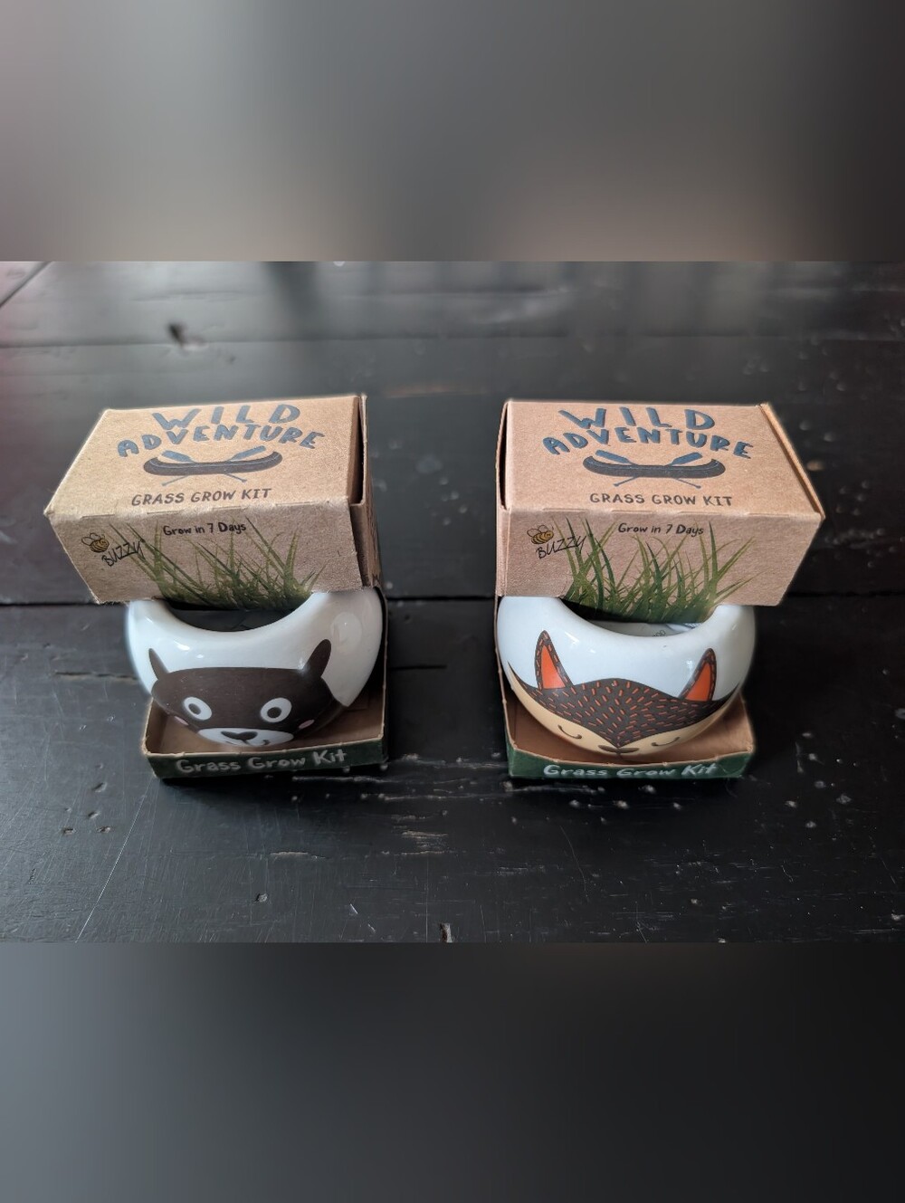 Buzzy Wild Adventure Grass Grow Kit Set of 2 Bear Fox Ceramic Planters Gift NEW